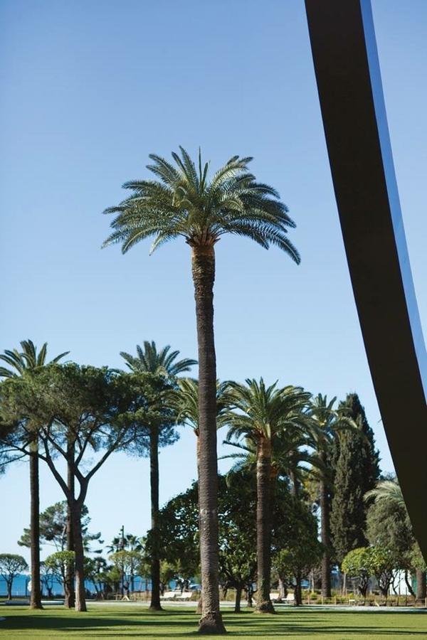 Grand H -F2, Face Vieux- Nice, Terrasse, Ascenseur, Climatisation, Terrace - Nice City Center Εξωτερικό φωτογραφία